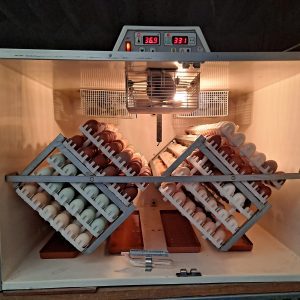 Huevos incubables